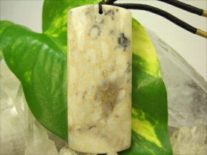 ylbNXztHVR[iX艻΁j24g