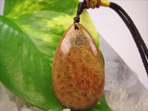 ylbNXztHVR[iX艻΁j17g