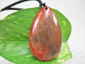 【ネックレス】フォシルコーラル(珊瑚化石)15.5g