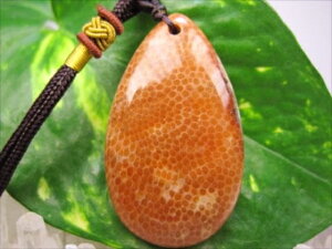 ylbNXztHVR[iX艻΁j16g