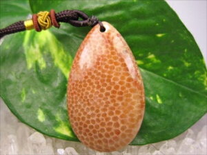 ylbNXztHVR[iX艻΁j16g