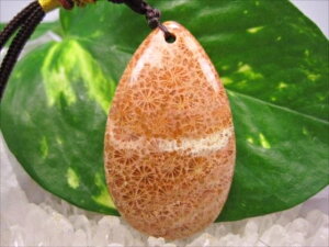 ylbNXztHVR[iX艻΁j16g