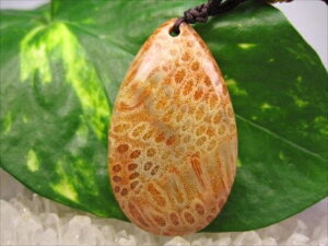 ylbNXztHVR[iX艻΁j15g