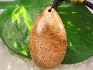 ylbNXztHVR[iX艻΁j16g