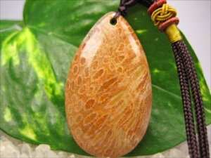 ylbNXztHVR[iX艻΁j15g