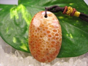 ylbNXztHVR[iX艻΁j16g