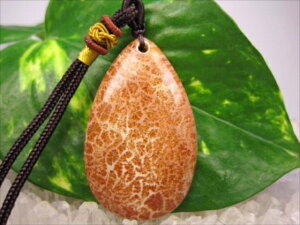 ylbNXztHVR[iX艻΁j16g