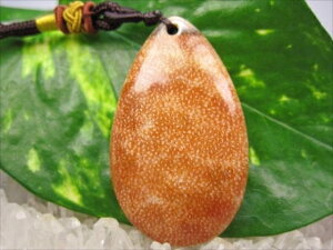 ylbNXztHVR[iX艻΁j15g