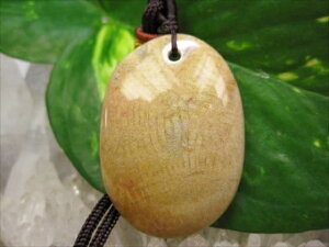 ylbNXztHVR[iX艻΁j19g