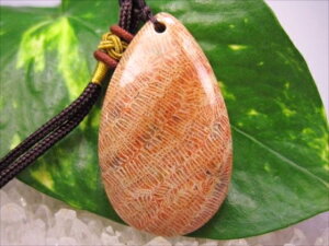 ylbNXztHVR[iX艻΁j16g