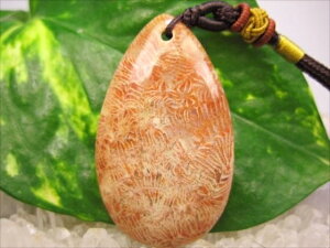 ylbNXztHVR[iX艻΁j16g