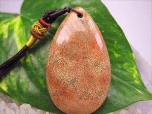 ylbNXztHVR[iX艻΁j16g