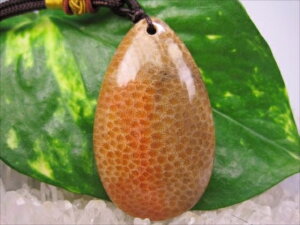 ylbNXztHVR[iX艻΁j17g