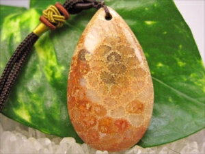 ylbNXztHVR[iX艻΁j16g