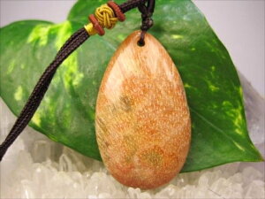 ylbNXztHVR[iX艻΁j16g