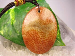 ylbNXztHVR[iX艻΁j23g