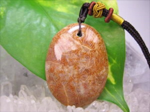 ylbNXztHVR[iX艻΁j14g