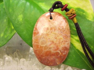 ylbNXztHVR[iX艻΁j17g