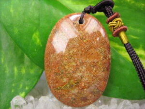 ylbNXztHVR[iX艻΁j18g