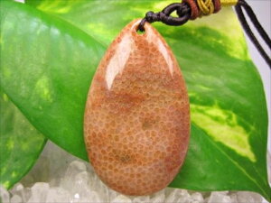 ylbNXztHVR[iX艻΁j16g