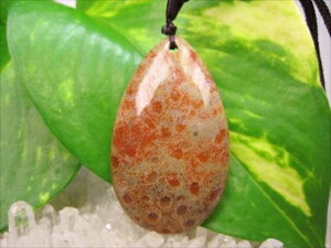 ylbNXztHVR[iX艻΁j16g