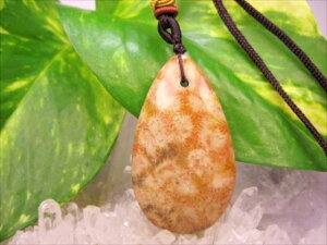 ylbNXztHVR[iX艻΁j15g