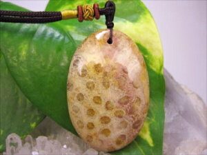 ylbNXztHVR[iX艻΁j22g