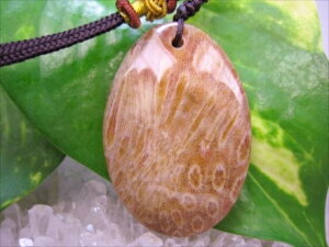 【ネックレス】フォシルコーラル(珊瑚化石)14g