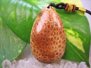 ylbNXztHVR[iX艻΁j16g