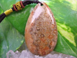 ylbNXztHVR[iX艻΁j15g