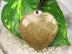 ylbNXztHVR[iX艻΁j21g