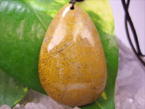 ylbNXztHVR[iX艻΁j23g