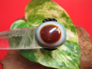 【チベット天珠指輪】羊眼板珠・天眼珠11号【一点物】