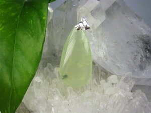 �y�y���_���g�g�b�v�z�v���i�C�g10g�y��_���z