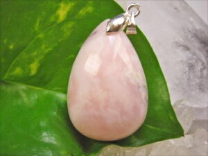 �y�y���_���g�g�b�v�z�s���N�I�p�[��10g