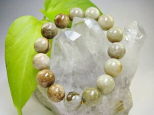 yuXbgzŐiuEWF_CgjiAAA13.5±0.5mmyӕʏtzy_z