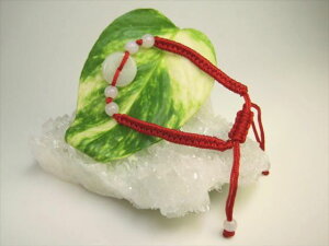 yψuXbgzŐiWF_CgjR^CvEԃT[N