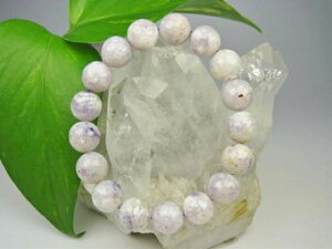 yuXbgzeBt@j[Xg[12±0.2mmy_z