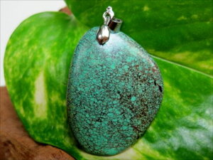 �y�y���_���g�g�b�v�z�V�R�^�[�R�C�Y10g�y��_���z