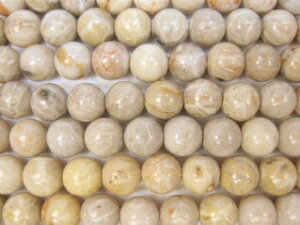 yA菤iztHVR[iX艻΁jiAAA8±0.2mm