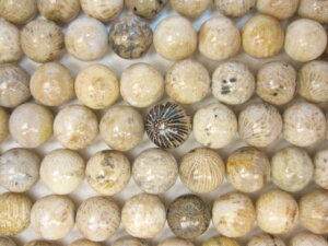 yA菤iztHVR[iX艻΁jiAAA10±0.2mm