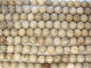 yA菤iztHVR[iX艻΁jiAAA6.2±0.2mm