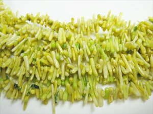 yA菤izCG[R[iXj40cmy3{SETz