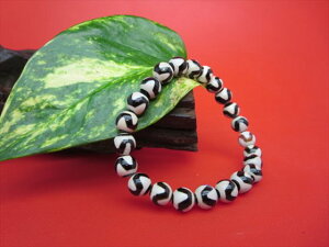 yψuXbgzՉVE8±0.2mm