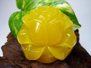 y蕨z(Ao[)KN53×29mm