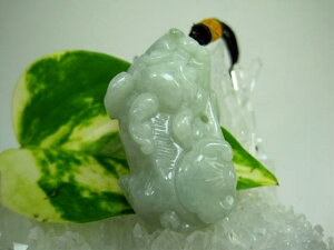 ylbNXzŐ(WF_Cg)溁iqLEj31gyEEӒς݁z