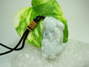 ylbNXzŐ(WF_Cg)溁iqLEj24gyEӒς݁z