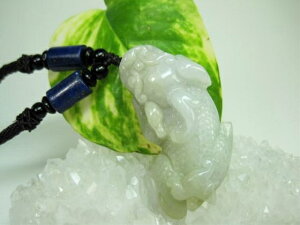 ylbNXzŐ(WF_Cg)溁iqLEj31gyEӒς݁z