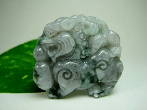 y蕨zŐ(WF_Cg)q42gyӒς݁z