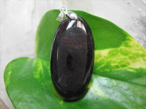 �y�y���_���g�g�b�v�z�X�M���C�g10g�y��_���z